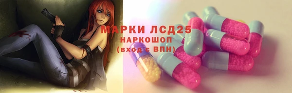 гашик Белокуриха