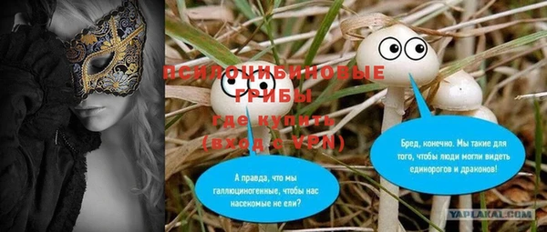 стаф Беломорск