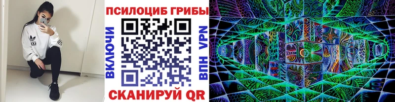 Псилоцибиновые грибы Psilocybe  как найти закладки  Вязьма 